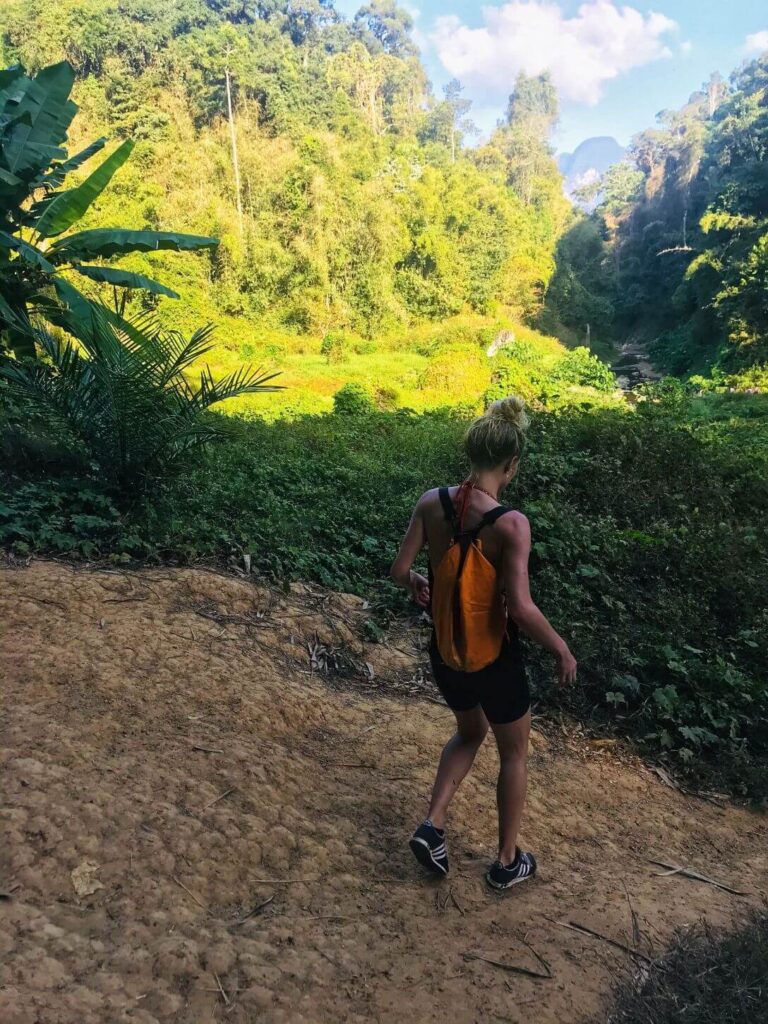 vandring-i-jungle